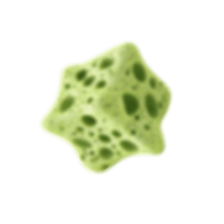 Decor: green sponge